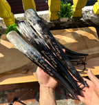 Personalized Natural Horn Shoe Horn – Length: 12.6 - 14 inch